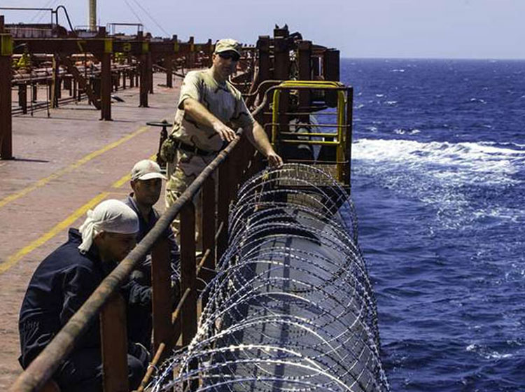 The sea-craft security system “Antipirat”